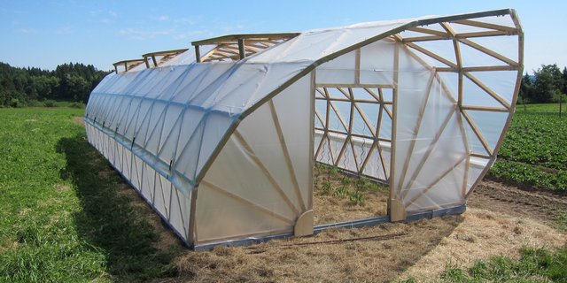 Der Gemüsetunnel von Schwegler soll von Frühjahr bis Winter im Einsatz sein. Um den Boden zu schonen, wird ein- bis zweimal jährlich der Standort gewechselt. (Bild zVg)