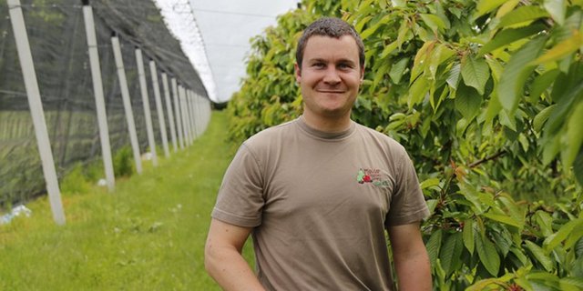 "Der Totaleinnetzung von Kirschenkulturen gehört die Zukunft": Obstproduzent Tobias Meuter packt seine Kirschenanlage rundum mit Netzen ein. (Bild lid)