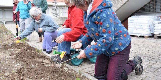 Mit Knieschonern, Rollhockern und ergonomischgeformtem Werkzeug ist die Gartenarbeit um einiges "menschenfreundlicher". (Bild und Video et)