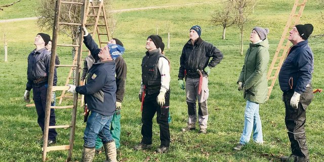 Das Baumschneiden ist lernbar. In Gruppen lässt sich die Wirksamkeit verbessern und die Arbeit macht mehr Spass.