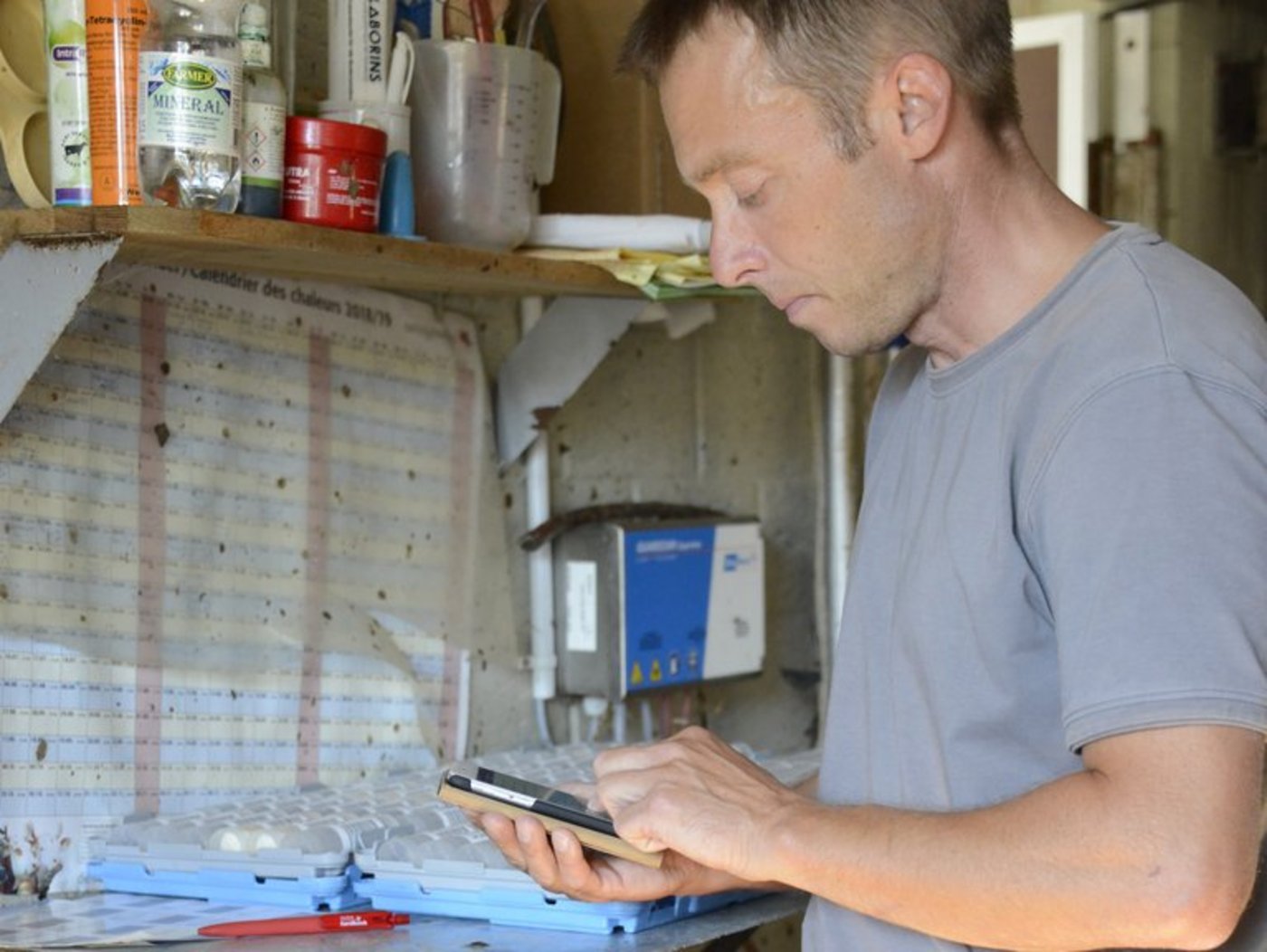 Für die Milchkontrolle braucht es nicht zwingend Internet. Die Begleitscheine können auf das Smartphone geladen und offline genutzt werden. (Bild lid)