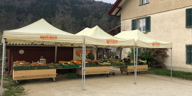 Jetzt, wo kein Bauernmarkt mehr stattfindet, müssen die Kunden ihr Gemüse direkt bei Miro Weber in Neunkirch einkaufen. (Bild zVg)