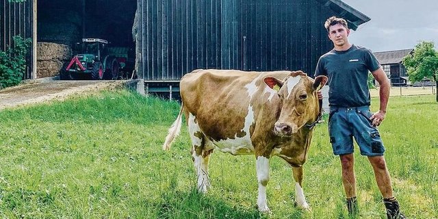 Jonas Egli und seine Male, die mit etwas Glück bald die Marke von 100 000 kg Lebensleistung knackt.