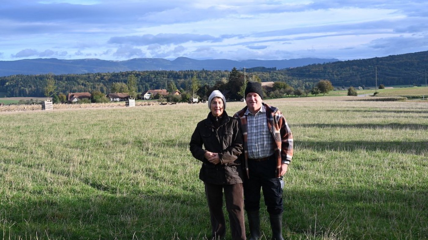 Die Damhirsche von Marcel Affolter und Christine Pernet wollen sich nicht fotografieren lassen und verziehen sich in den hinteren Gehegeteil. Das sei auch gut so, finden ihre Besitzer. Denn es sind Wildtiere und sollen es auch bleiben. (Bilder BauZ/aw)