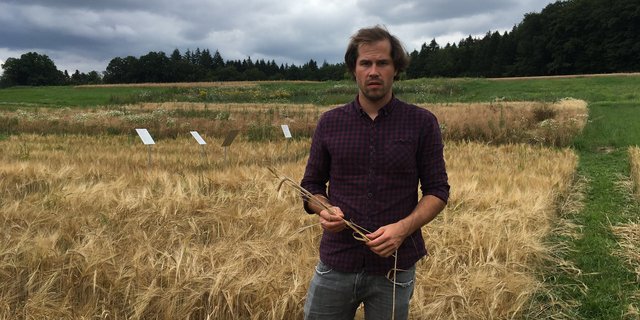 Dominik Füglistaller, Geschäftsführer der IG Mittellandmalz, ist sich sicher: Mit einer neuen, kommerziell tragfähigen Mälzerei kann ein noch grösserer Teil der Wertschöpfung im Inland verbleiben. Davon profitieren Bauern, Brauer und Konsumenten. (Bild Karin Ruchti)