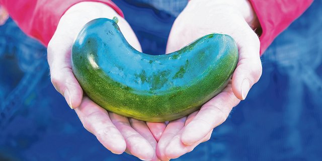 Gemüse, das nicht den optischen Qualitätsnormen entspricht, kann zum Beispiel über Apps vermarktet werden. (Bild Adobe Stock)