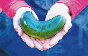 So kann krummes oder beschädigtes Gemüse auch vermarktet werden Gemüse, das nicht den optischen Qualitätsnormen entspricht, kann zum Beispiel über Apps vermarktet werden. (Bild Adobe Stock)