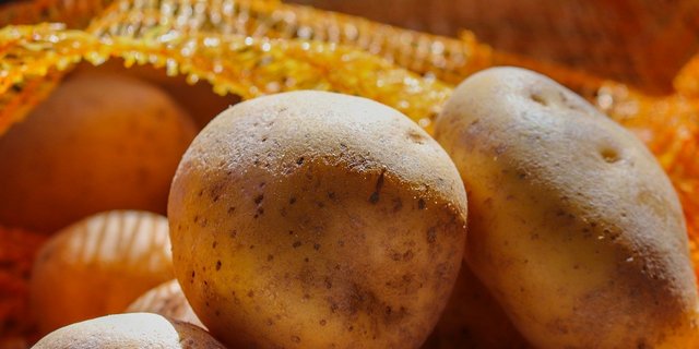 Man werde die Importe stoppen, sobald genügend Schweizer Kartoffeln wieder verfügbar sind. (Bild Pixabay)