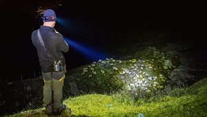 Ein Schäfer bewacht Ein Schäfer bewacht die Schafe des Landwirts Yves Bruchez vor einem Wolfsangriff. Das Bild entstand am 28. Juli 2021 auf der Alp von La Corbassiere im Val de Bagnes (Wallis).