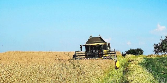 Die Zielmenge für die Ernte 2026 ist sowohl bei Raps als auch bei  Sonnenblumen und Futtersoja noch nicht erreicht.  