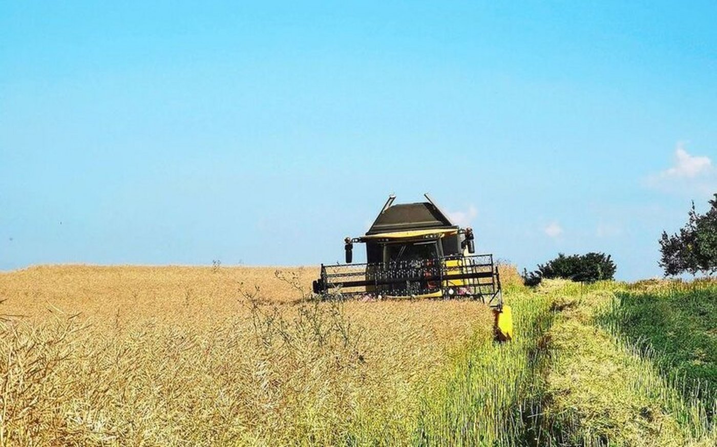 Die Zielmenge für die Ernte 2026 ist sowohl bei Raps als auch bei  Sonnenblumen und Futtersoja noch nicht erreicht.  