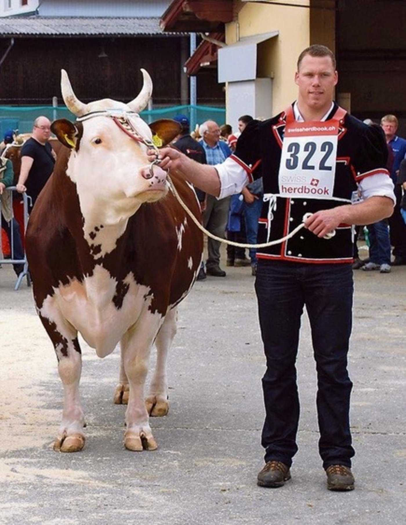  Der aktuelle Schwingerkönig und gelernte Landwirt Matthias Sempach präsentierte seinen Hauptgewinn Fors von der Lueg 2014 anlässlich des Zuchtstiermarkts in Thun. (Bild Peter Fankhauser)