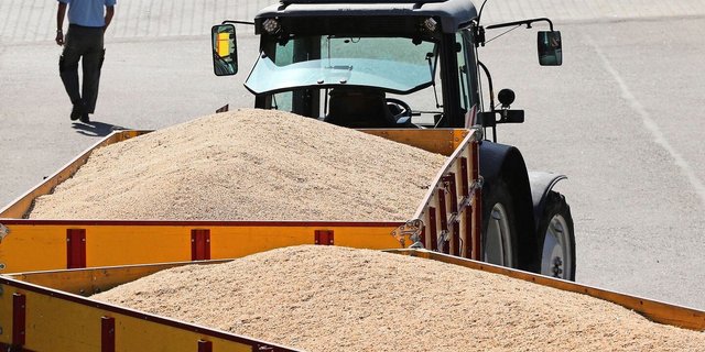 Nach den Berechnungen von FMS könnten die Schweizer Getreideproduzenten pro Jahr insgesamt bis zu 15 Millionen Franken mehr verdienen.