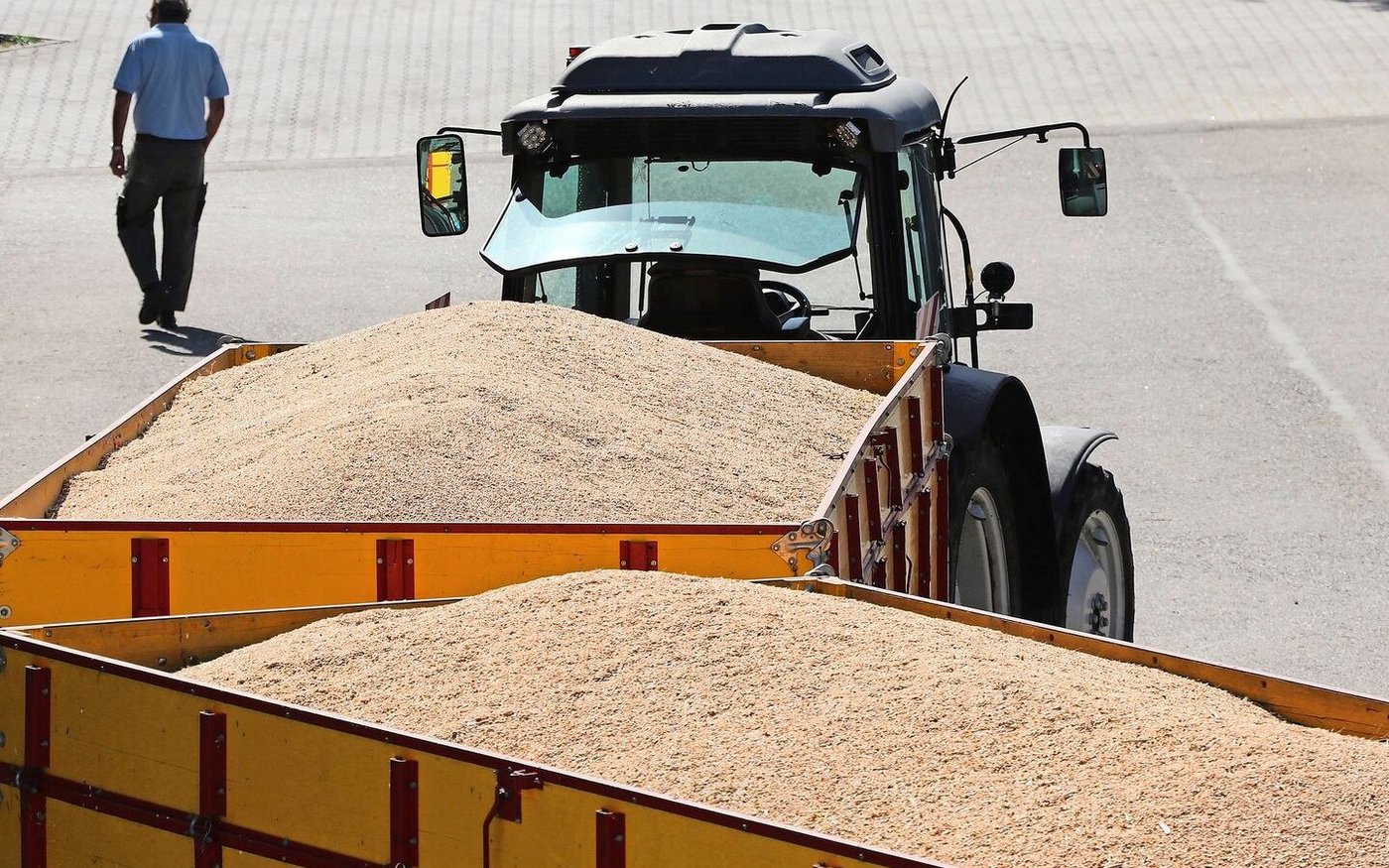 Nach den Berechnungen von FMS könnten die Schweizer Getreideproduzenten pro Jahr insgesamt bis zu 15 Millionen Franken mehr verdienen.