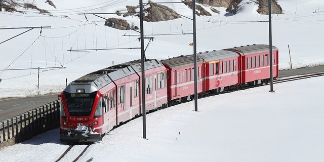 Das tote Tier wird nun in Bern untersucht, um es zu identifizieren. (Symbolbild Pixabay)