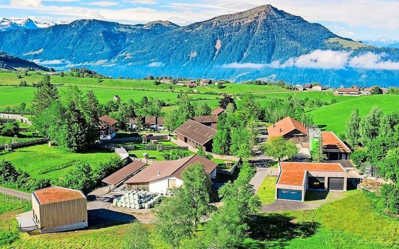 Der Hof Früebüel liegt auf rund 1000 m ü. M. und umfasst total 60 Hektaren Fläche, wovon 32 Hektaren normales Wiesland sind.