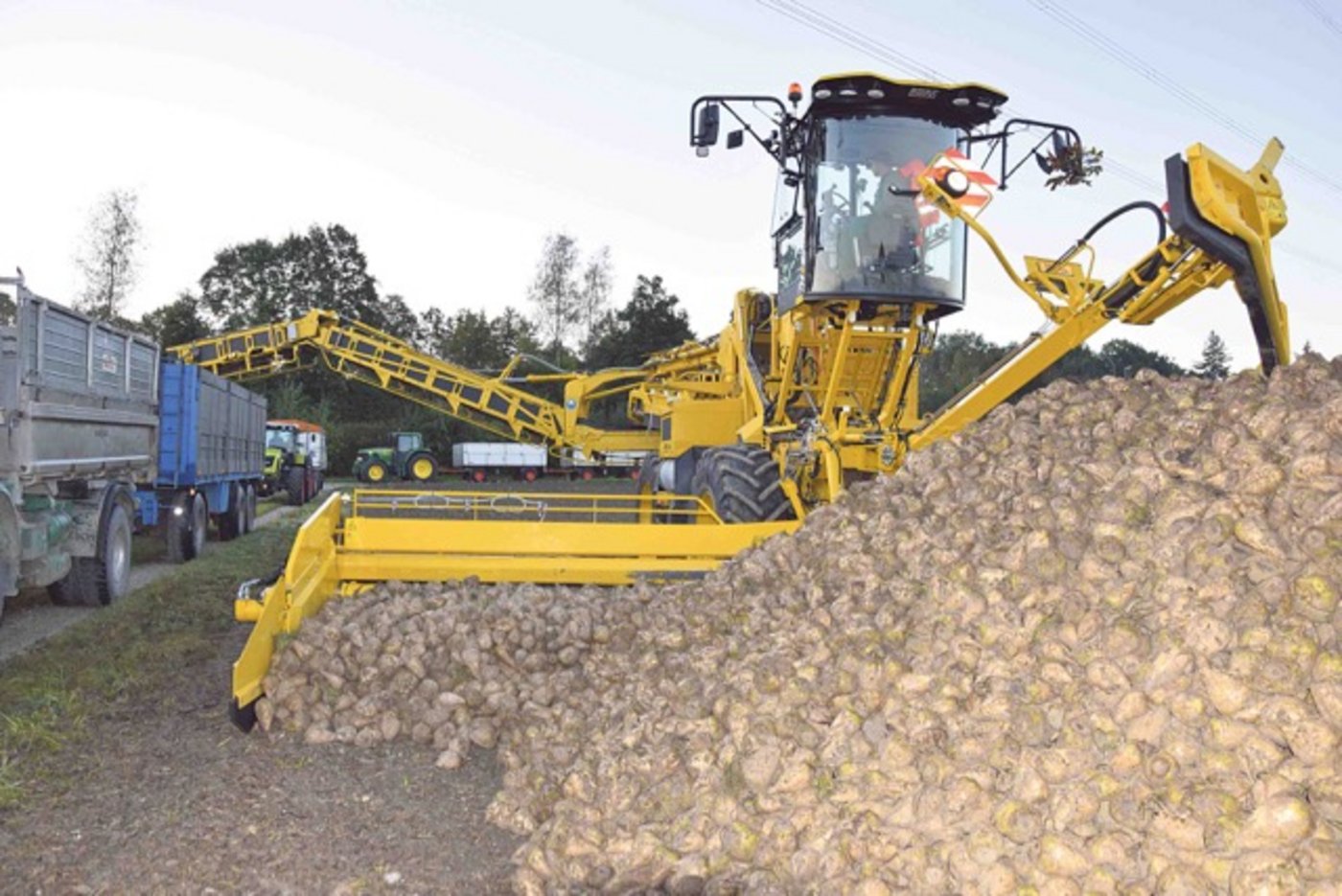 Eine der fünf «Rübenmäuse» des Rübenrings Seeland stand letzten Dienstag zum ersten Mal in diesem Herbst im Einsatz. Eine solche Maschine kostet um die 240'000 Franken. (Bild Peter Fankhauser) 