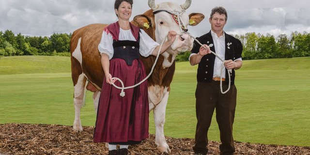 Anita und Johann von Grünigen aus Turbach BE mit dem Stier Fabbio Achill, anlässlich der Dauerausstellung an der BEA 2018.(Bild Robert Alder)