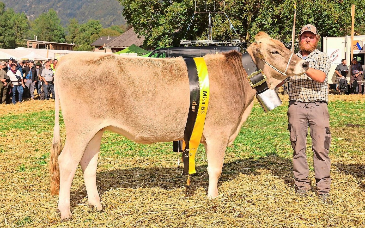 Auch das schönste BS-Rind kam aus dem Stall von Theo und Toni Kempf, Attinghausen.