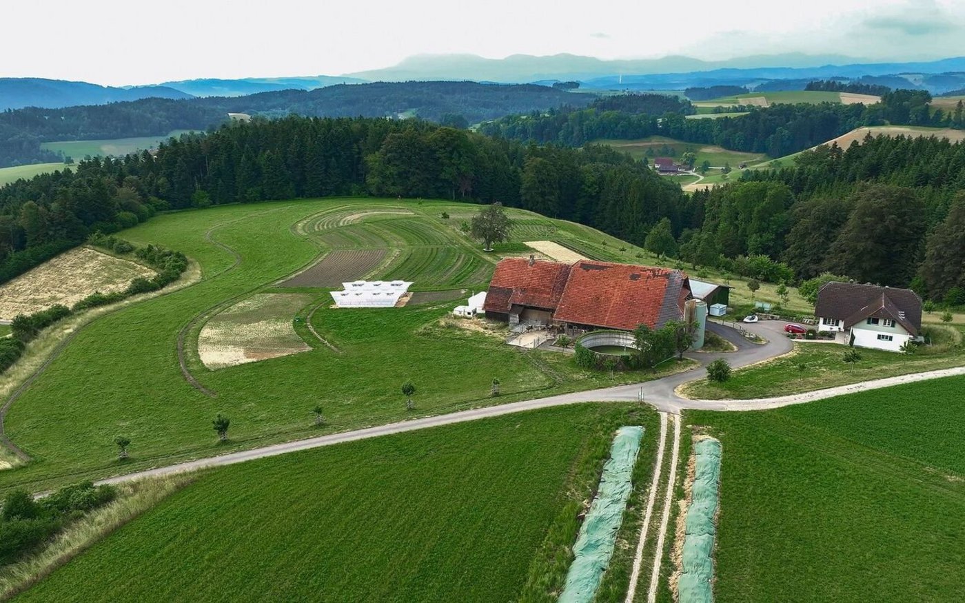 Auf dem Luftbild vom Juni 2023 sind die geschwungenen Gemüsefelder gut erkennbar. Auf dem Hof selbst ist ein Speicherbecken für Dach- und von der Ackerfläche abfliessendes Regenwasser geplant.