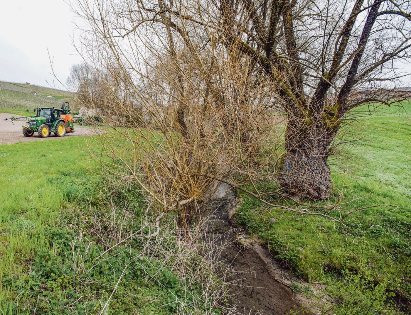 Die Abstandsauflagen zur Risikominderung verringerten das Risikopotenzial für Oberflächengewässer deutlich. (Bild Agroscope)