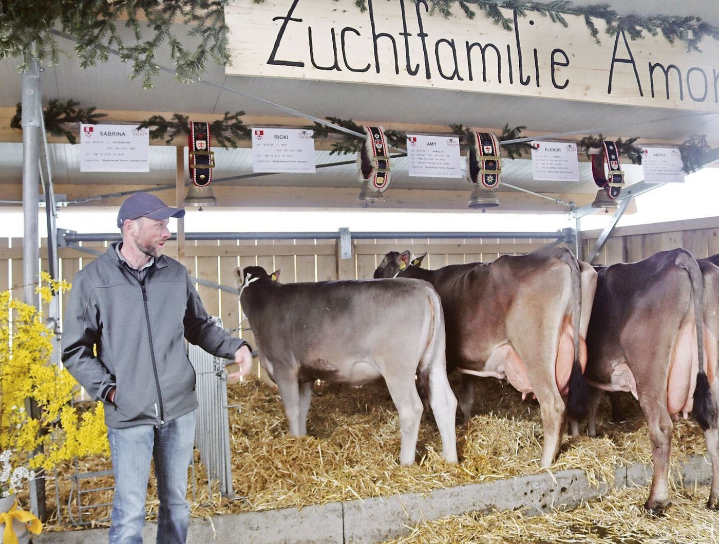 Der Obwaldner Präsident Simon Niederberger begutachtet eine Zuchtfamilie. 