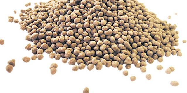 Ab 2022 will der ZAB solchen granulierten Phosphordünger  verkaufen. (Bild zVg)