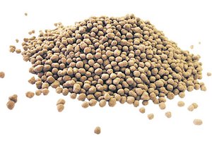 Phosphor-Kunstdünger aus recyceltem Klärschlamm – die Forschung läuft Ab 2022 will der ZAB solchen granulierten Phosphordünger verkaufen. (Bild zVg)