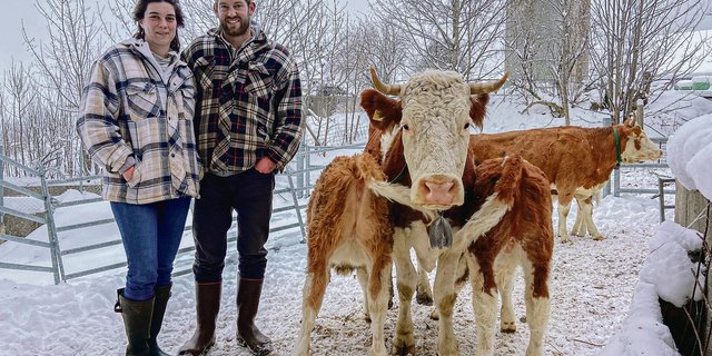 Eine der Neuerungen seit der kürzlichen Betriebsübernahme: Marie Payré und Thomas Glauser arbeiten in ihrer Simmentaler Milchviehherde zur offensichtlichen Freude der Jungtiere mit muttergebundener Kälberaufzucht. (Bild akr)