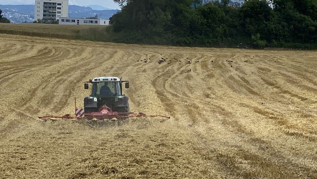 Dort wo das Getreide gedroschen ist, gilt es nun den pH-Wert des Bodens zu bestimmen und wenn nötig eine Kalkgabe zu machen. (Bild Katrin Erfurt)