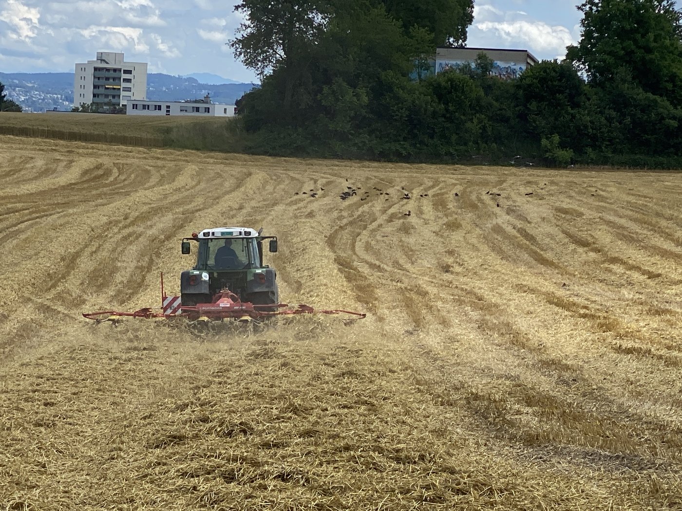 Dort wo das Getreide gedroschen ist, gilt es nun den pH-Wert des Bodens zu bestimmen und wenn nötig eine Kalkgabe zu machen. (Bild Katrin Erfurt)