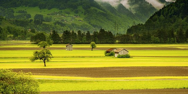 Mit dem Sachplanentwurf können die besten landwirtschaftlichen Böden besser geschützt werden. (Bild pixabay)