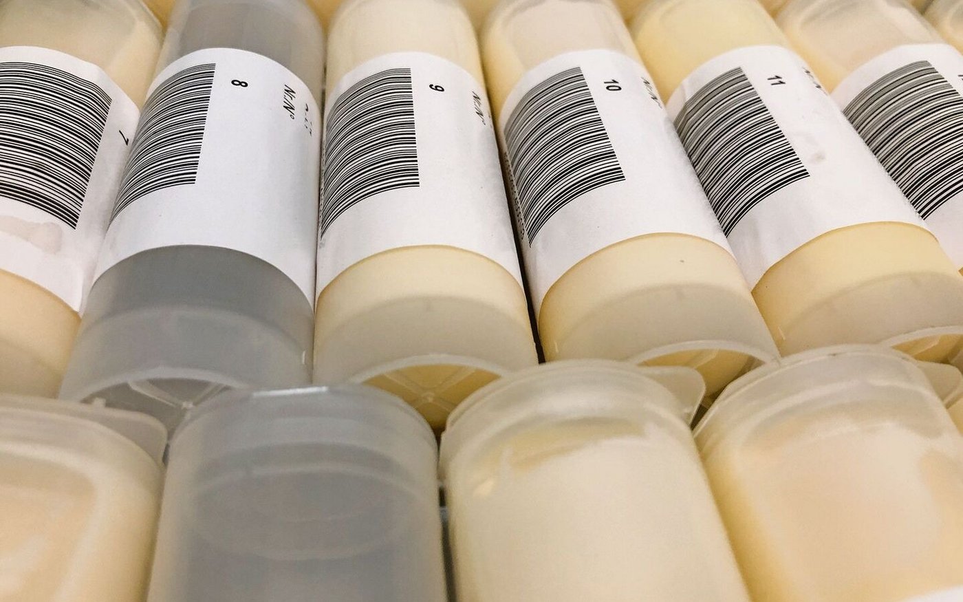 Was sagen Milchmenge- und inhaltsstoffe über die Versorgung der Kuh aus?