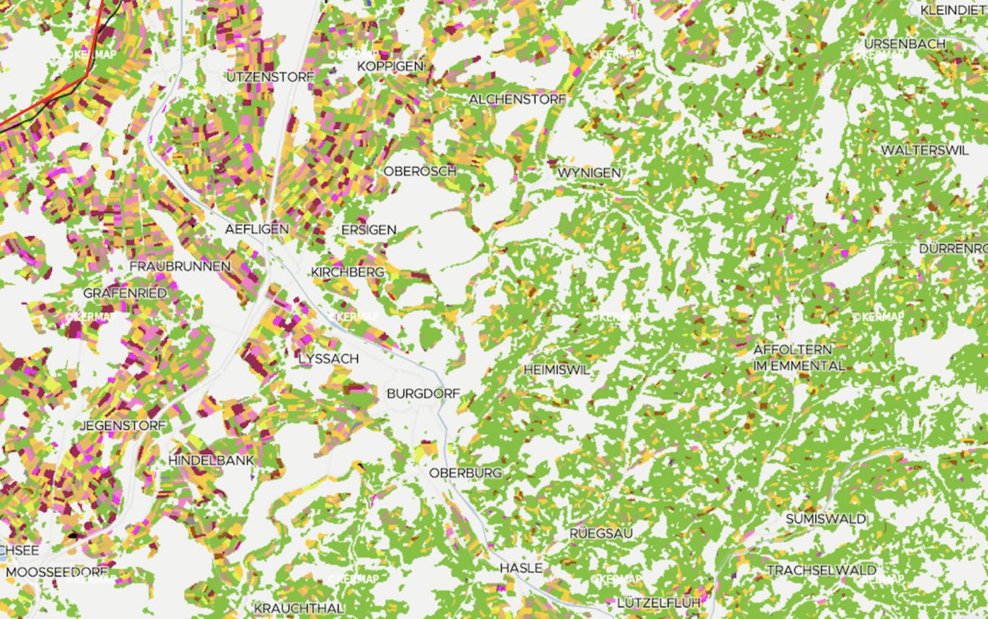 Richtung Emmental dominieren im Kanton Bern grüne Weideflächen das Bild. 