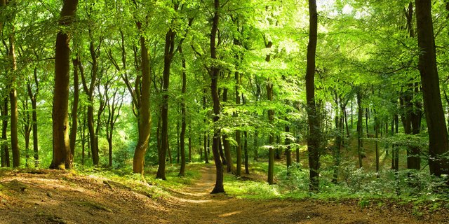 (Symbolbild fotolia)