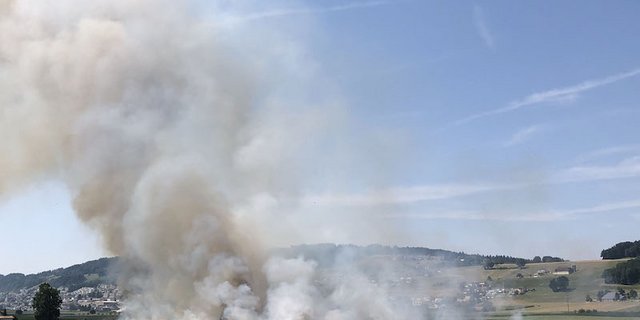 Das Feuer sei wahrscheinlich von einem Mähdrescher ausgegangen. (Bilder Kantonspolizei Luzern)