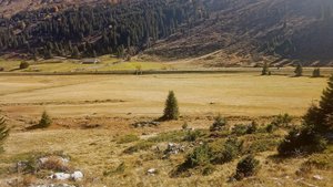 Um die Bewirtschaftu Um die Bewirtschaftung im Sömmerungsgebiet rationeller zu gestalten, sollen Sömmerungsflächen mit landwirtschaftlichen Nutzflächen abgetauscht werden dürfen und umgekehrt.