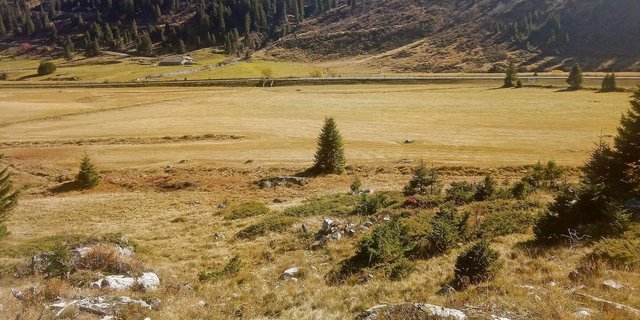Um die Bewirtschaftung im Sömmerungsgebiet rationeller zu gestalten, sollen Sömmerungsflächen mit landwirtschaftlichen Nutzflächen abgetauscht werden dürfen und umgekehrt.