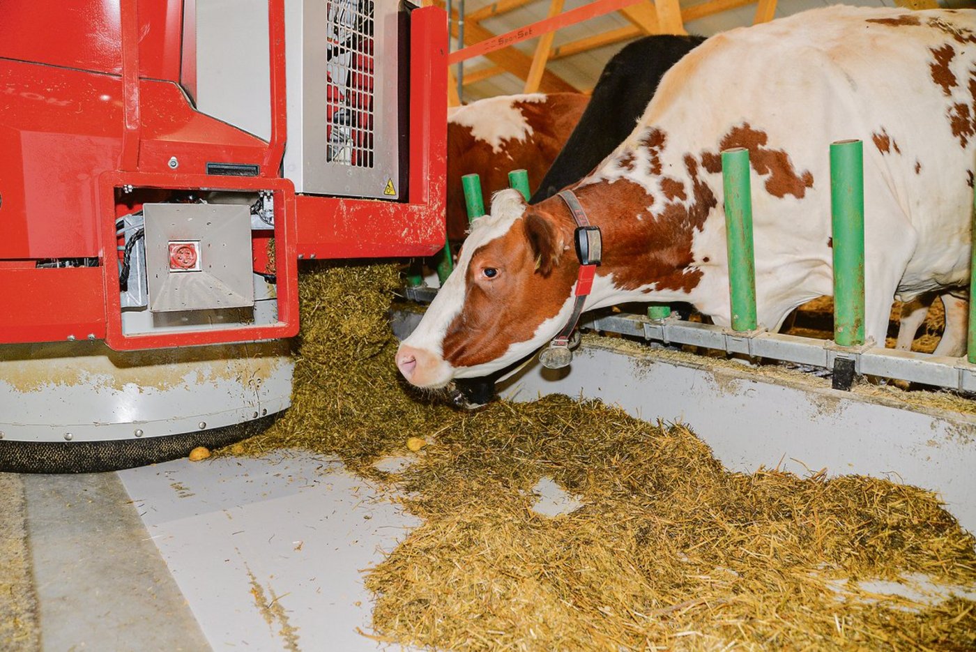 Mit einem Fütterungsroboter lassen sich mehr Fresszeiten einplanen. Davon profitieren besonders schwächere und jüngere Kühe.(Bild zVg)