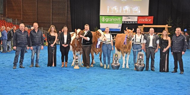SF-Championwahl (v.r.): Miss: Kilian Nevada, Daniel und Adelheid Graf, Bleiken; Reserve: Sunside Kilian Sf Ivabia, Christian Stucki, Uebeschi; Mention: Kilian Mayla, Fritz Wenger, Pohlern. 