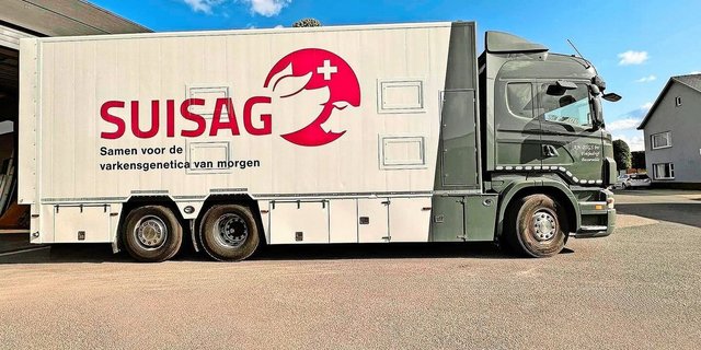 Suisag-Logo auf einem Lastwagen in der Region Flandern, Belgien. Hier setzt ein Vermehrungszüchter auf Schweizer Genetik.