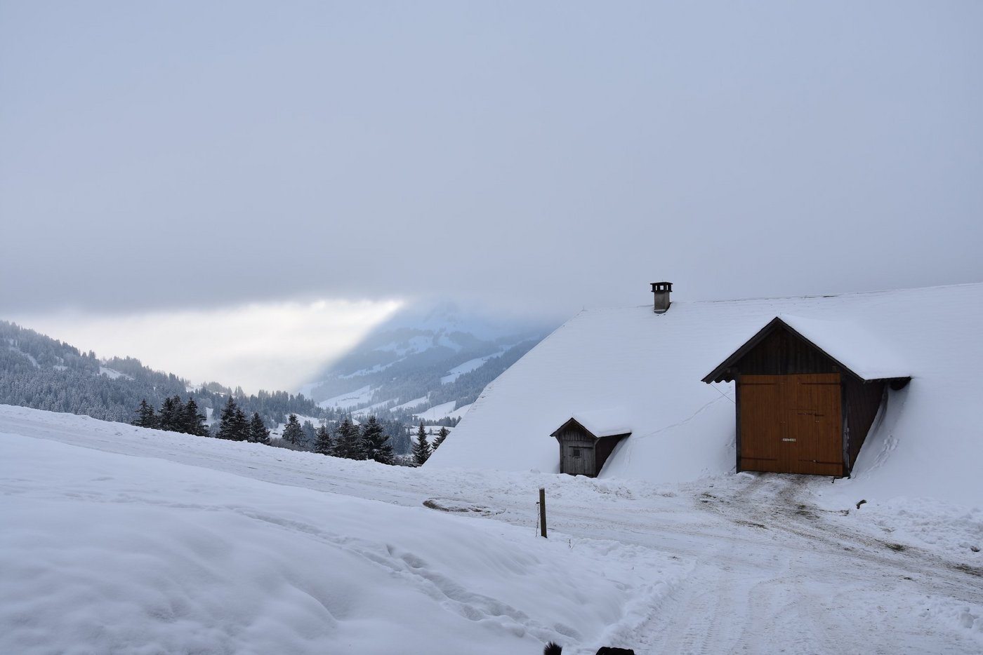 Der Betrieb der Familie Egli-Aebischer liegt oberhalb des Emmentaler Dorfs Schangnau. (Bild BauernZeitung/sjh)