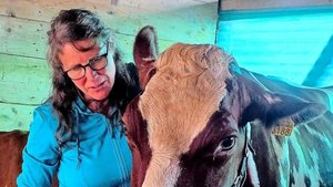 Nicole Studer ist Tierärztin. Seit vielen Jahren hat sie sich der Homöopathie verschrieben. Sie leitet bei Kometian das Beratungsteam.