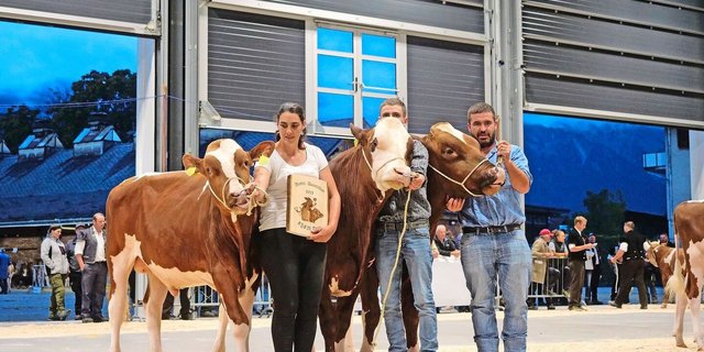 Bester Aussteller am Thuner Stierenmarkt 2025: Bruno und Sandra Beyeler aus Plaffeien.