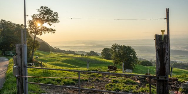 Die von der SAB geforderten Massnahmen sollen die Folgen der Corona-Krise abfedern. (Bild BauZ)