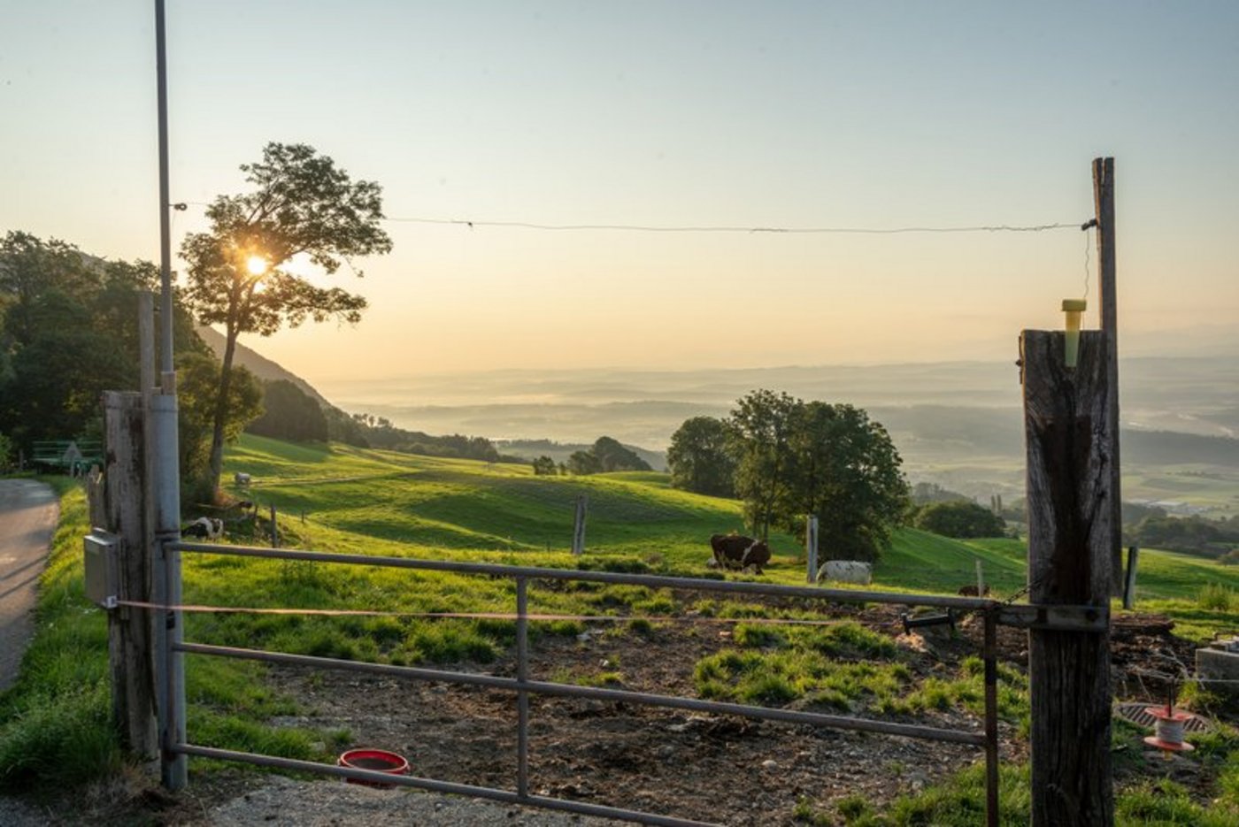 Die von der SAB geforderten Massnahmen sollen die Folgen der Corona-Krise abfedern. (Bild BauZ)