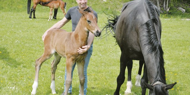 Daniel Steinmann, neuer Präsident des ZVCH, züchtet auf seinem Hof in Rüti Schweizer Warmblutpferde.(Bild Alexandra Stückelberger)