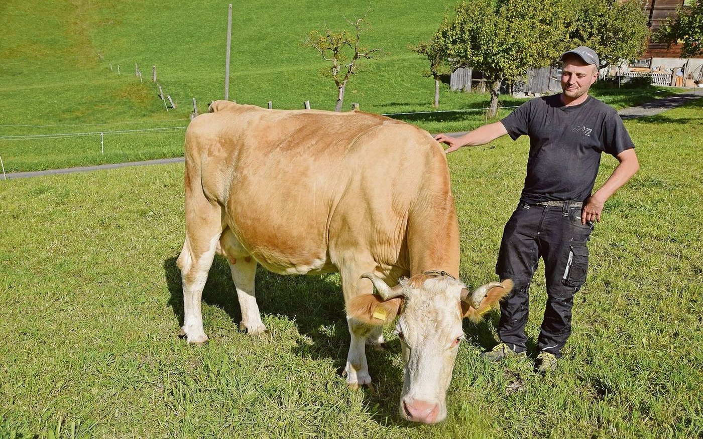 Markus Rauber mit seinem Star: Rex Tiffany (55 55 98/EX 93). Tiffany stellte mit 93 Punkten diesen Frühling mit ihren Nachkommen schweizweit die höchste Zuchtfamilie bei Swissherdbook. 