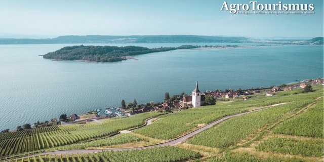 Die Kirche Ligerz in den Rebbergen ist ein Wahrzeichen der Region. Ein anderes ist die St. Petersinsel. (Bild Schweiz Tourismus)