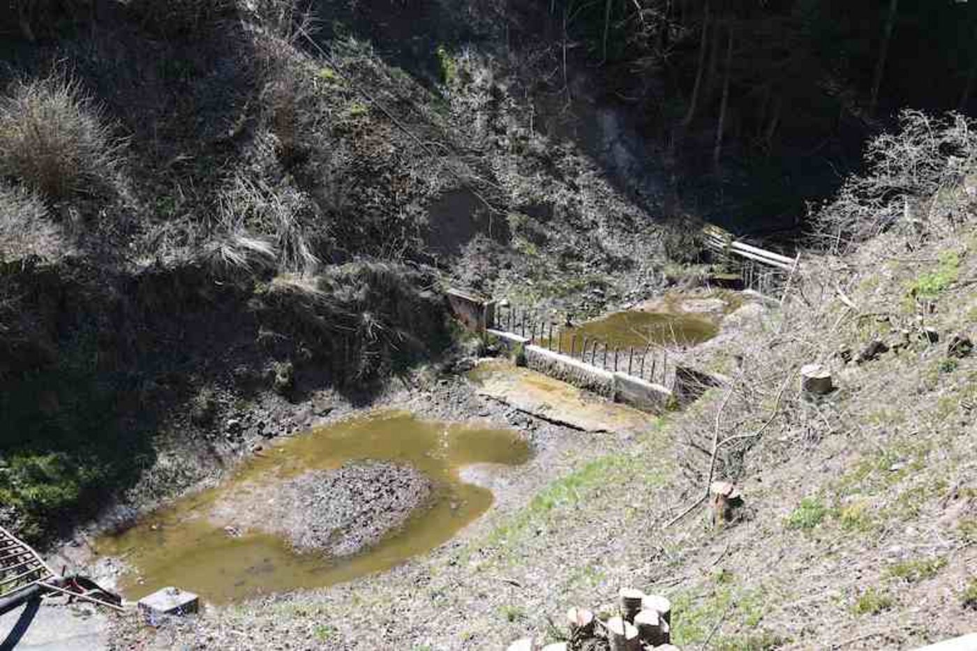Die Feuerwehr konnte den Bach von der ausgetretenen Gülle reinigen. (Bild Kapo SG)